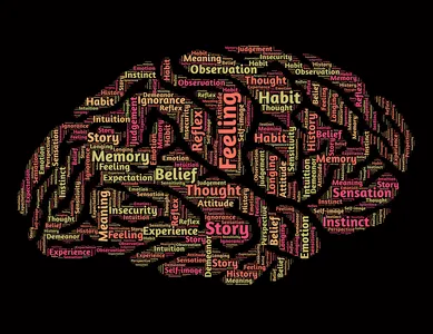 What is the term used to describe the study of the nature of reality?