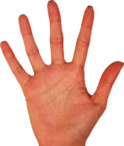 How many people are there in the world