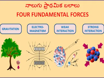 Which of the following is not one of the fundamental forces of nature?