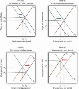 Which factor does NOT generally affect wages in a labor market?