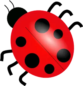 How many spots does a ladybug have