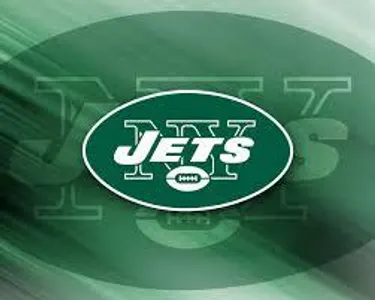 Which NFL team's logo is shown below?