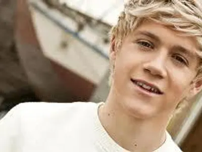 When is Niall birthday?