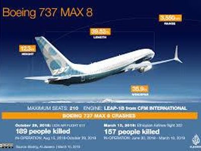 What event led to the grounding of the Boeing 737 MAX in 2019?