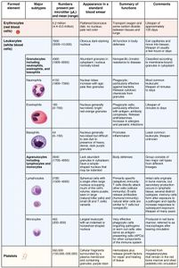 Which show features a talking white blood cell and a mucus in a human body?