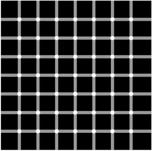 Look at the white dots of this picture, what happens?