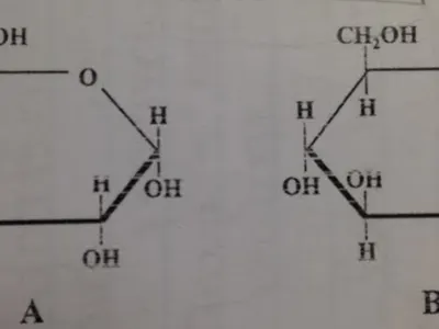 Which of these molecules could be polymerized to form starch (amylose)?