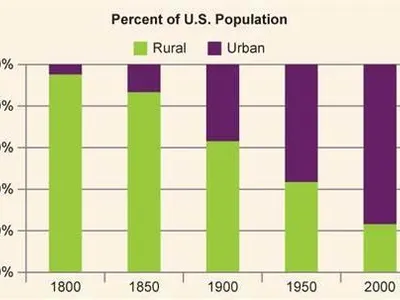Which of the following is a social impact of urbanization?