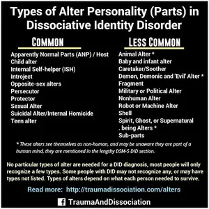 What is the term for a person's unique pattern of thinking, feeling, and behaving?