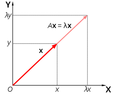 What is the eigenvector of a matrix used for?