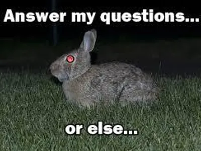 Question