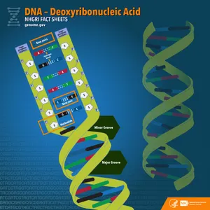 What is the genetic material found in all living organisms?