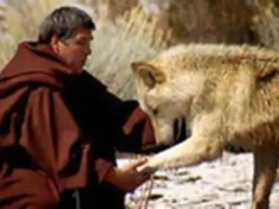 Is this wolf attacking or killing a human?