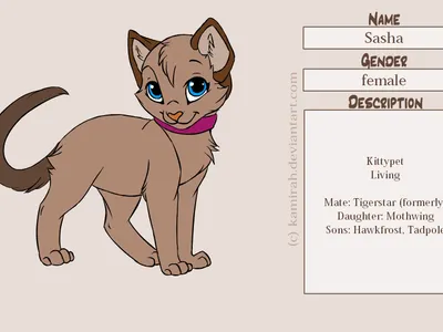 Is Hollyleaf related Birchface?