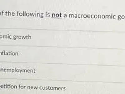 Which of the following is NOT a goal of economic growth?