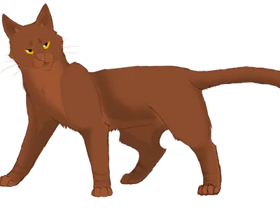 Who is Crookedstar's brother?