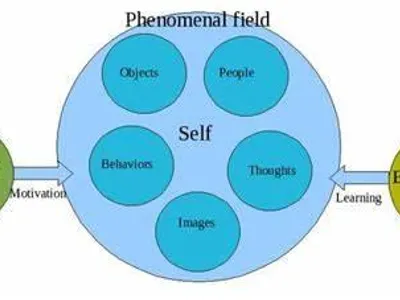 According to determinism, human actions are ultimately caused by which of the following?
