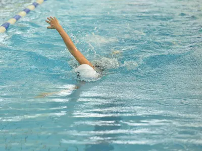 Which swimming stroke is often called the 'frog style'?