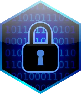 What is the purpose of encryption in network security?