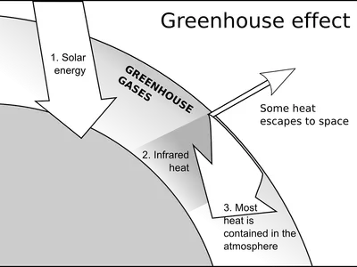 Which compound is responsible for the greenhouse effect?