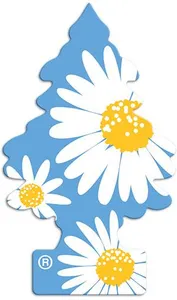 What's the name of this car freshener?