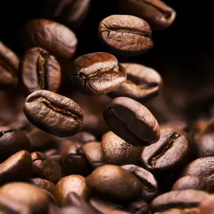 What type of coffee beans are known for their high caffeine content?
