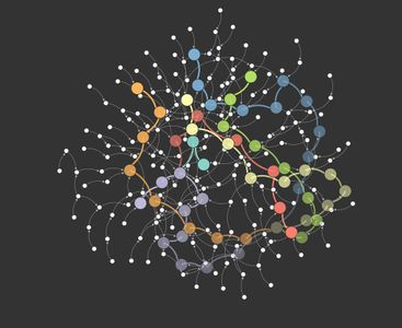 Which of the following is a common type of network attack?