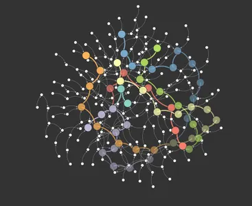 Which of the following is a common type of network attack?