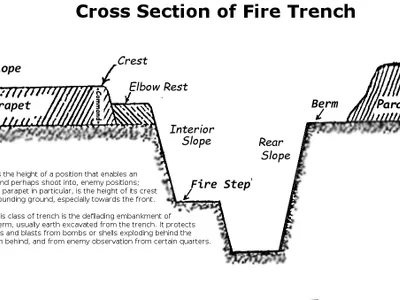 What is the recommended step height for beginners?