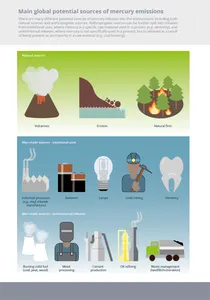 What is the main source of mercury pollution in the environment?