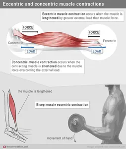 Which of these exercises should not be used during strength training?