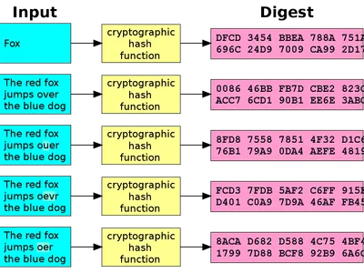Which of the following algorithms is widely used for hashing passwords?