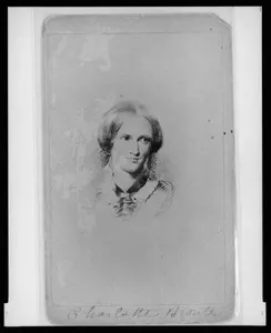 What’s the name of the novel written by Charlotte Bronte which tells a story of love and revenge?