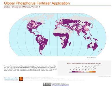 Which gas is primarily responsible for the hole in the ozone layer?