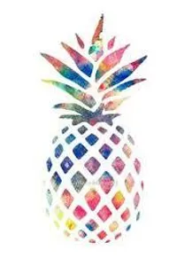 Pineapples are: