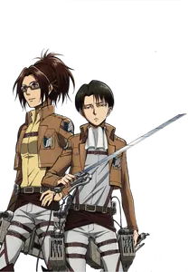 What is Levi?