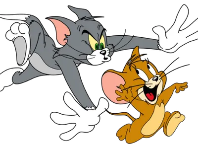Which classic cartoon series follows the adventures of a mischievous cat named Tom and a clever mouse named Jerry?