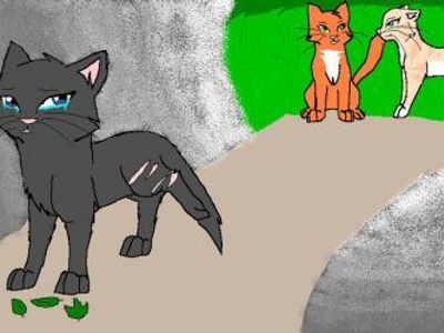 If a cat was hanging out with your ex, what would you do?