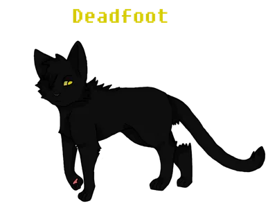 What cat did Deadfoot chose to go to Sun- Drown place?