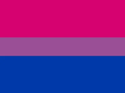 What does bisexual mean?