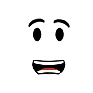 ( yes or no ) is this a real face?
