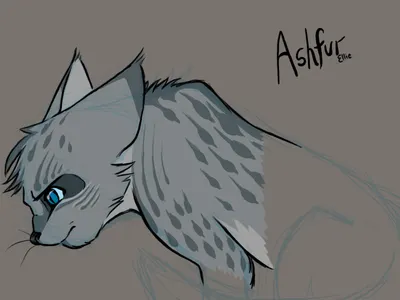 What things are true about Ashfur?