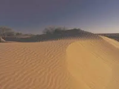 Which Australian desert is the driest and largest?