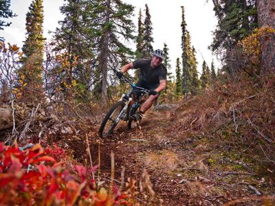 Why did the bicycle fall over?