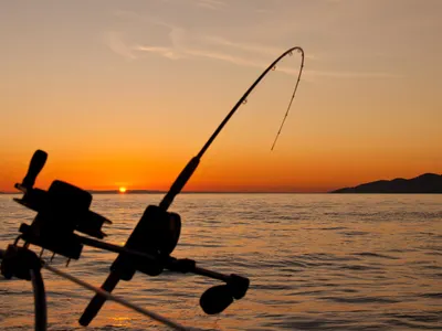What is the purpose of a downrigger on a fishing boat?