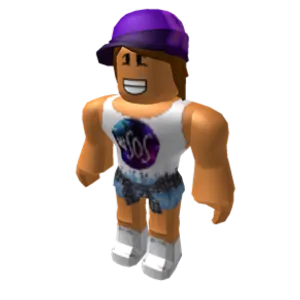 In Roblox what are these called?