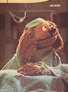 Why is Rowlf not commonly used anymore?