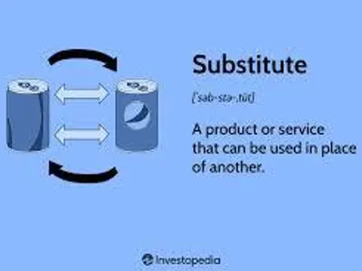 What is a substitute good?