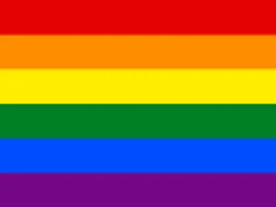 What does Brendon Urie say his sexuality is? (dont cheattt)