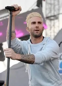 What year did Adam Levine get married to his current wife?